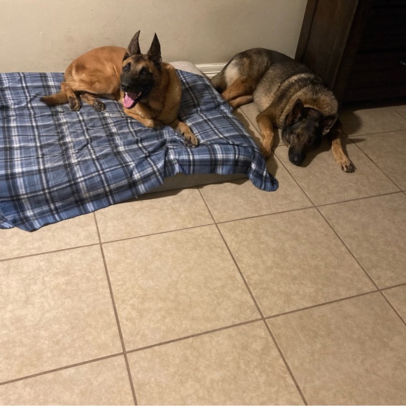 SC - Picture 14 of 17